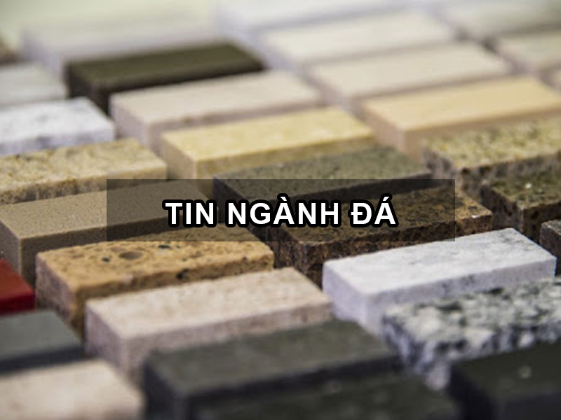 Tin ngành đá